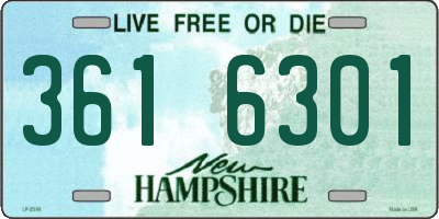 NH license plate 3616301