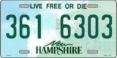 NH license plate 3616303