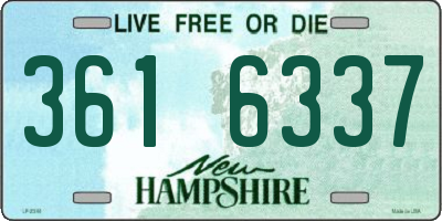 NH license plate 3616337
