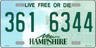 NH license plate 3616344