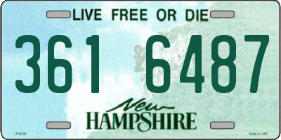 NH license plate 3616487