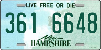 NH license plate 3616648