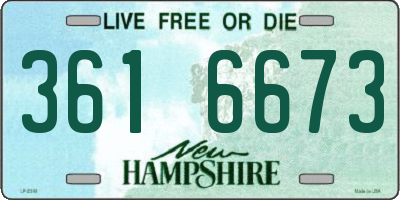 NH license plate 3616673