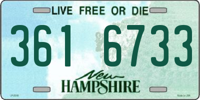 NH license plate 3616733