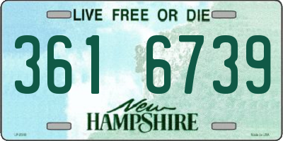 NH license plate 3616739