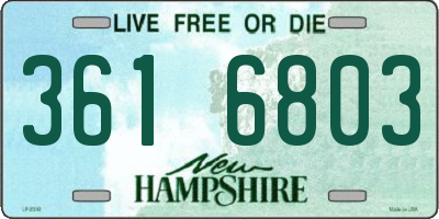 NH license plate 3616803