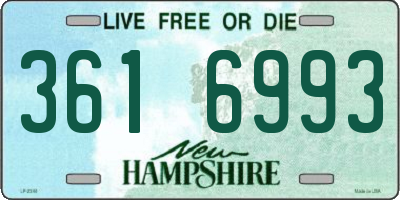NH license plate 3616993