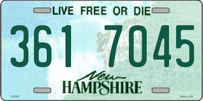 NH license plate 3617045