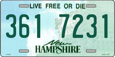 NH license plate 3617231