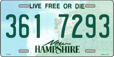 NH license plate 3617293