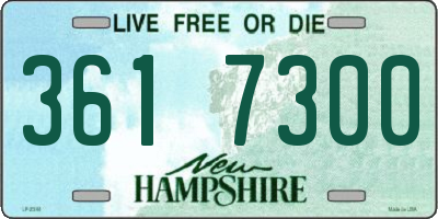 NH license plate 3617300