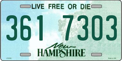 NH license plate 3617303