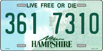 NH license plate 3617310