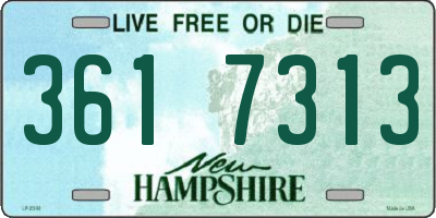NH license plate 3617313