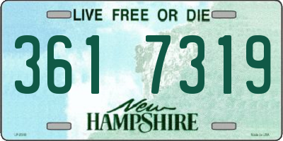 NH license plate 3617319