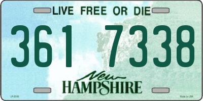 NH license plate 3617338