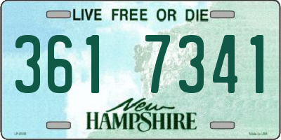 NH license plate 3617341