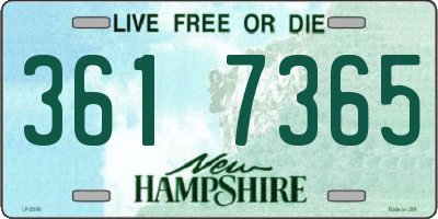 NH license plate 3617365