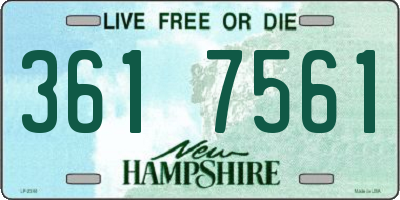 NH license plate 3617561