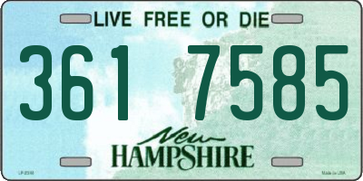 NH license plate 3617585