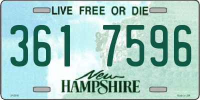 NH license plate 3617596