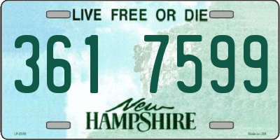 NH license plate 3617599