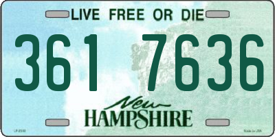 NH license plate 3617636