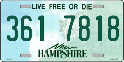 NH license plate 3617818