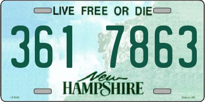 NH license plate 3617863