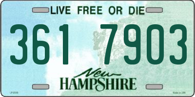 NH license plate 3617903