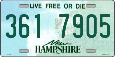 NH license plate 3617905