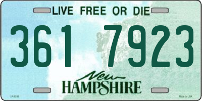 NH license plate 3617923