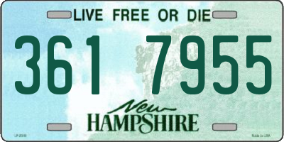 NH license plate 3617955