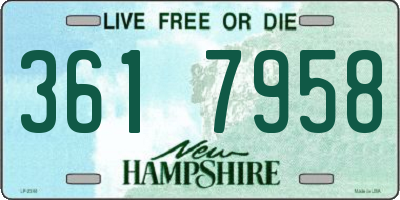 NH license plate 3617958