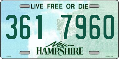 NH license plate 3617960