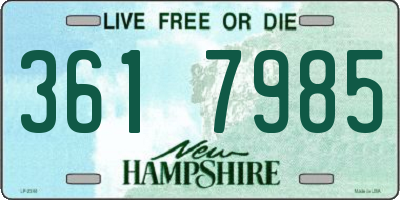 NH license plate 3617985