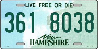 NH license plate 3618038