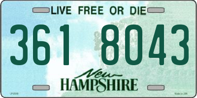 NH license plate 3618043