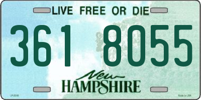NH license plate 3618055