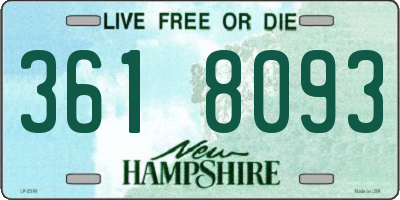 NH license plate 3618093