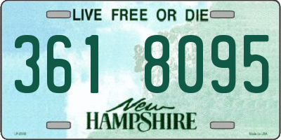 NH license plate 3618095