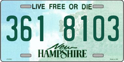 NH license plate 3618103