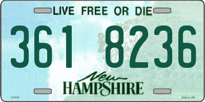 NH license plate 3618236