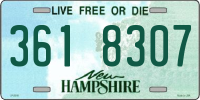 NH license plate 3618307