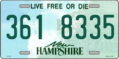 NH license plate 3618335