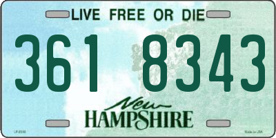 NH license plate 3618343