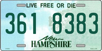 NH license plate 3618383