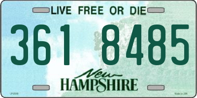 NH license plate 3618485