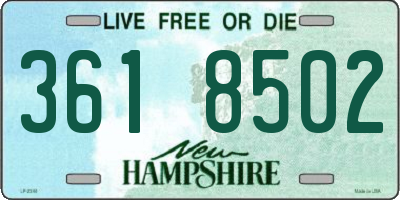 NH license plate 3618502