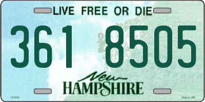 NH license plate 3618505
